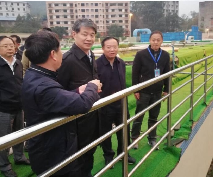 BG���ˡ�(�й���)�ٷ���վ