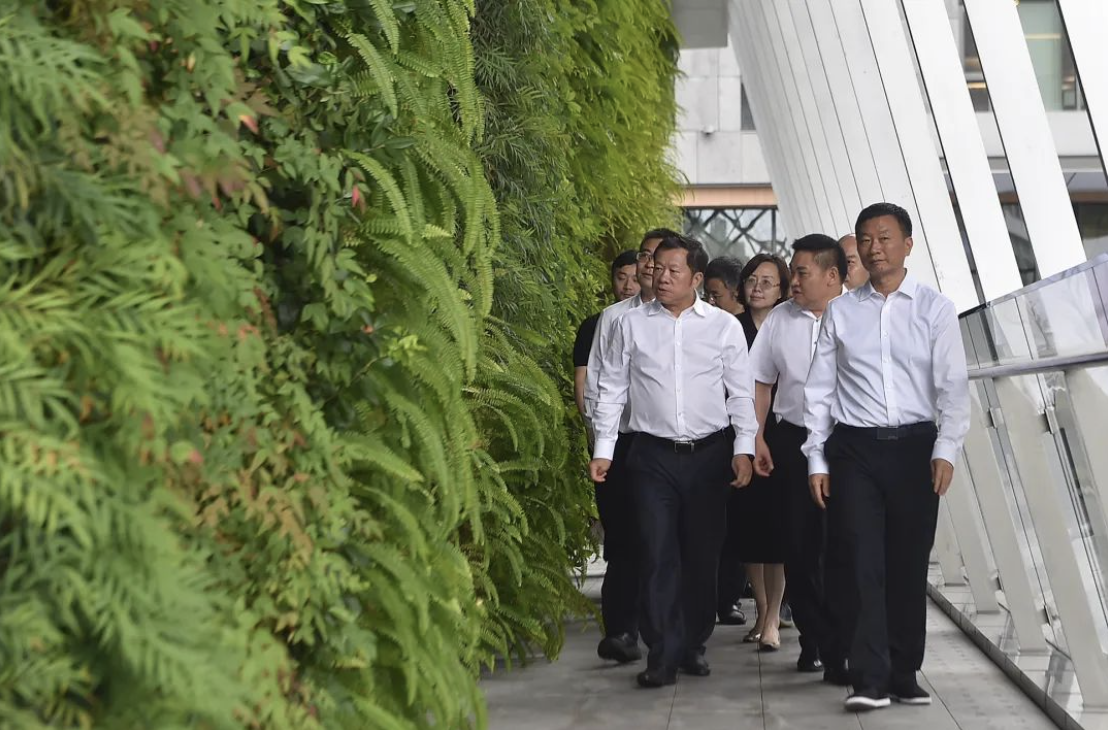 BG���ˡ�(�й���)�ٷ���վ